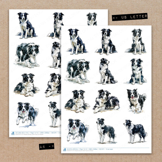 Realistic Border Collie Fussy Cut Sheets (DDD013714)