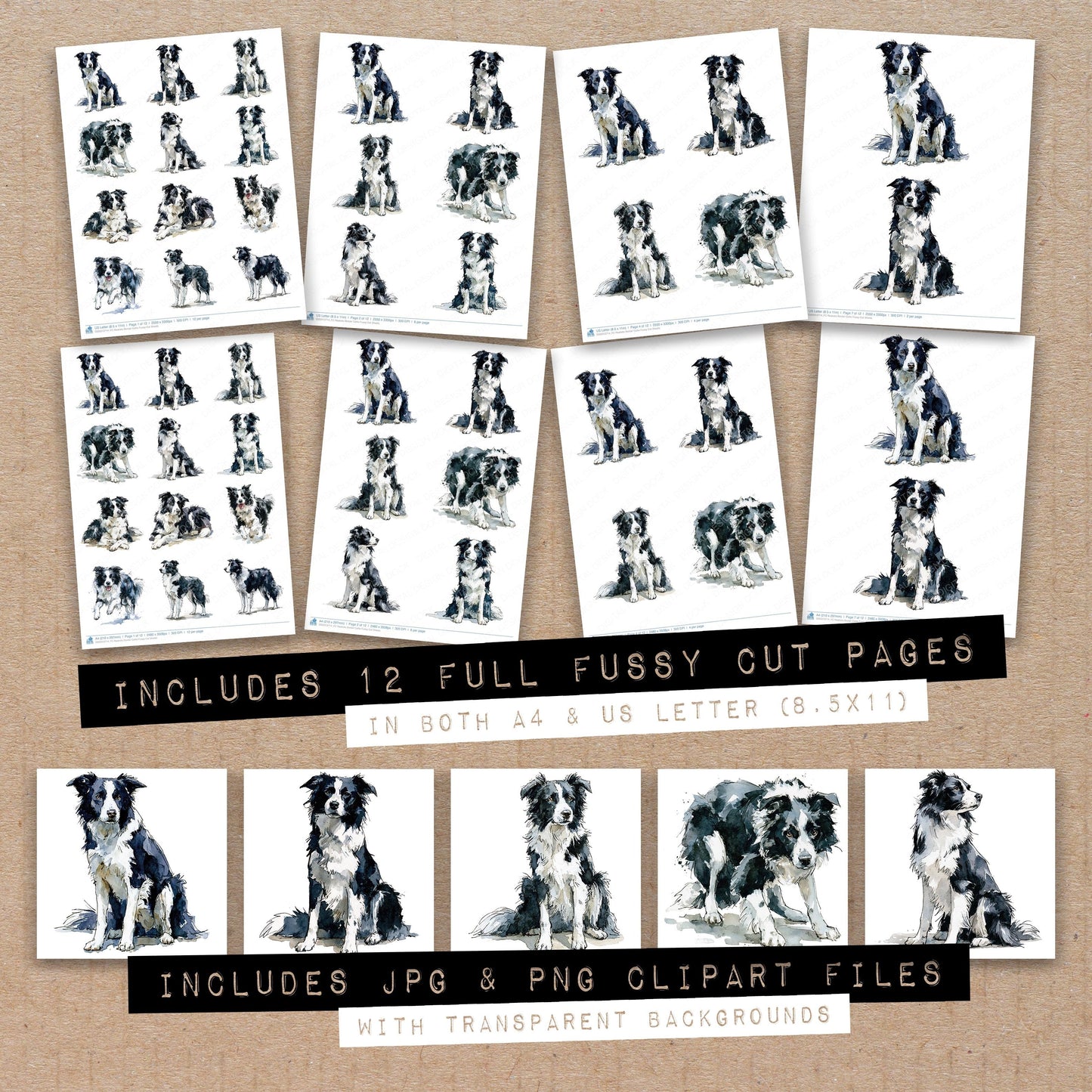 Realistic Border Collie Fussy Cut Sheets (DDD013714)