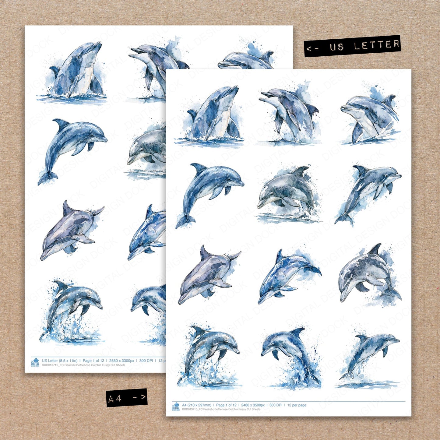 Realistic Bottlenose Dolphin Fussy Cut Sheets (DDD013715)
