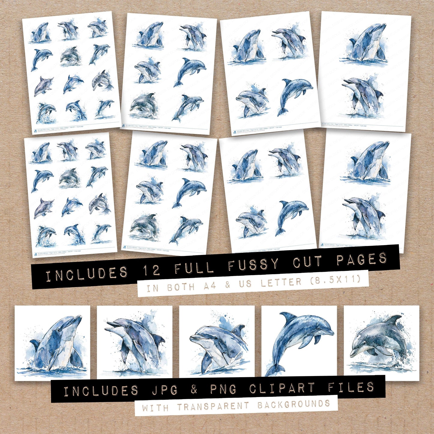 Realistic Bottlenose Dolphin Fussy Cut Sheets (DDD013715)