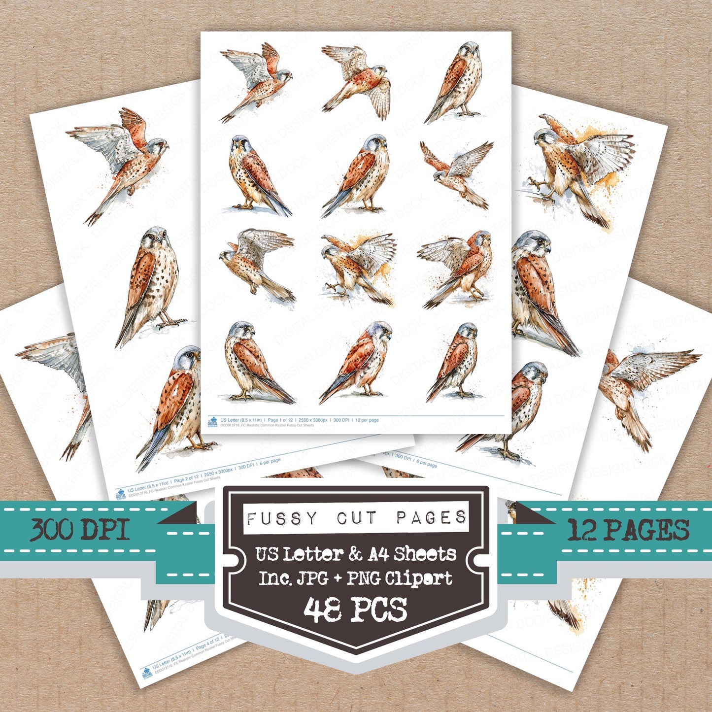Realistic Common Kestrel Fussy Cut Sheets (DDD013716)