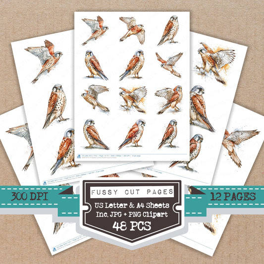 Realistic Common Kestrel Fussy Cut Sheets (DDD013716)