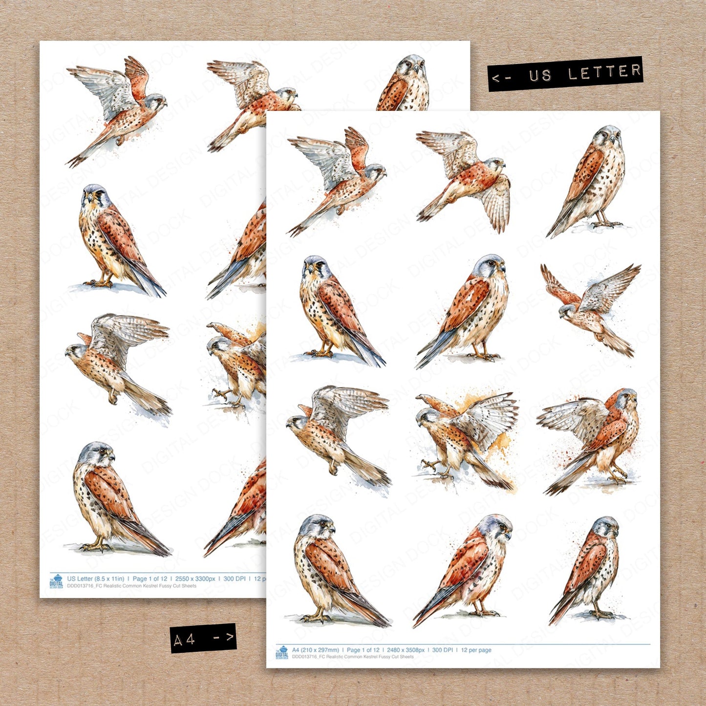 Realistic Common Kestrel Fussy Cut Sheets (DDD013716)