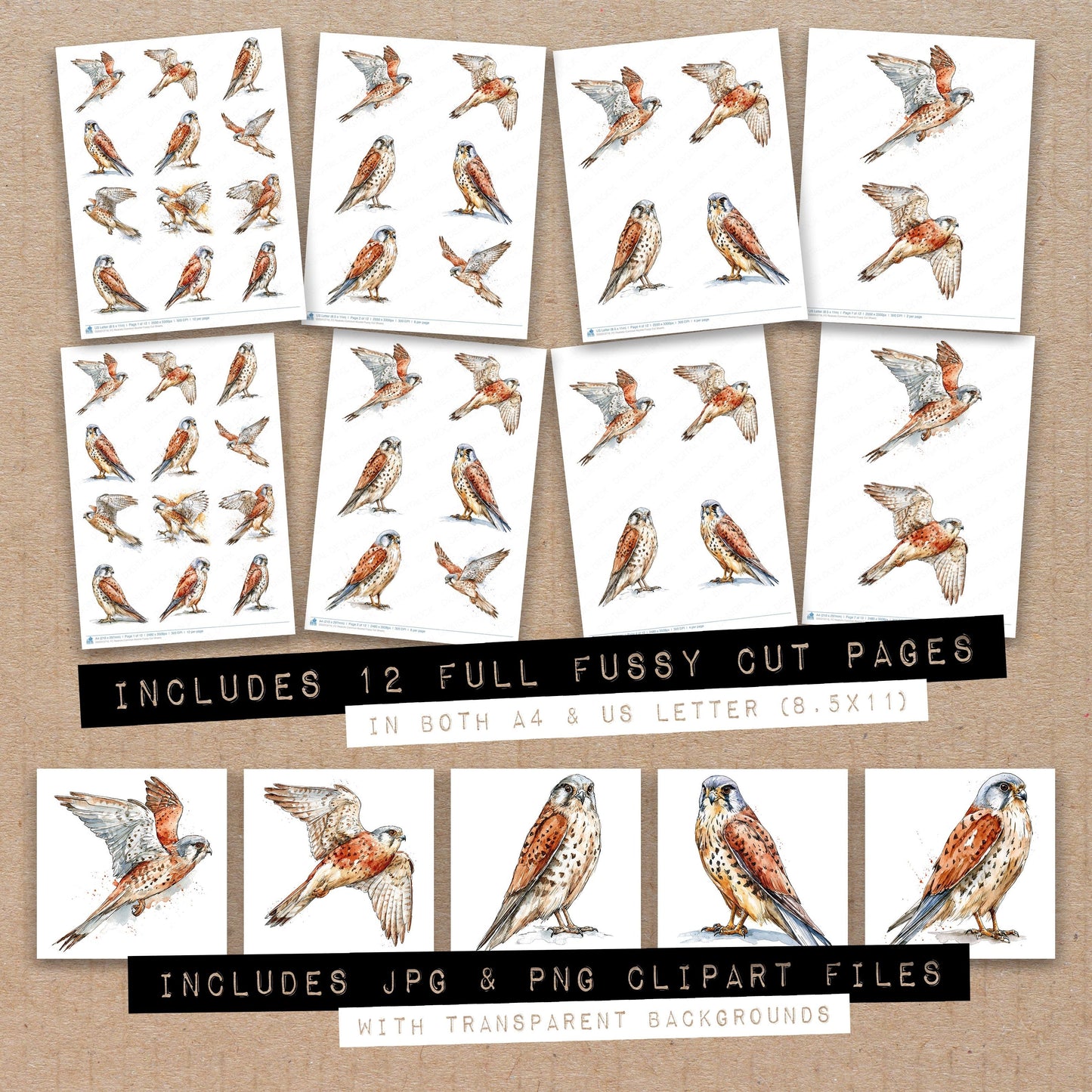 Realistic Common Kestrel Fussy Cut Sheets (DDD013716)