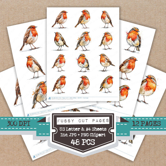 Realistic European Robin Fussy Cut Sheets (DDD013717)