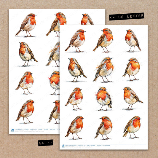 Realistic European Robin Fussy Cut Sheets (DDD013717)