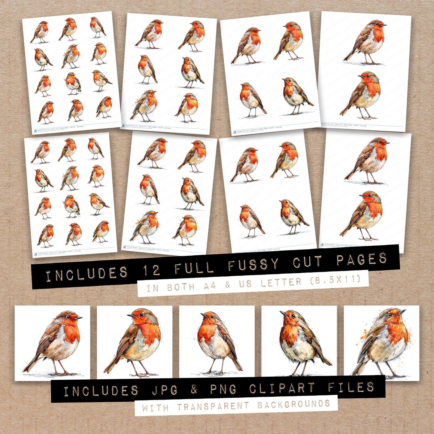 Realistic European Robin Fussy Cut Sheets (DDD013717)