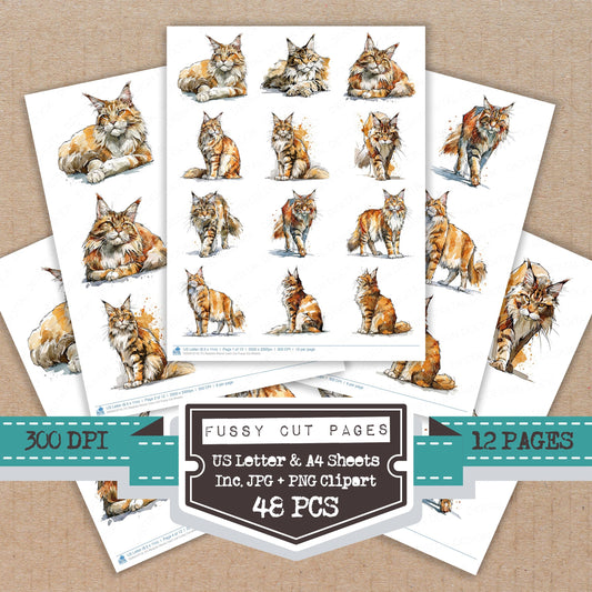 Realistic Maine Coon Cat Fussy Cut Sheets (DDD013719)