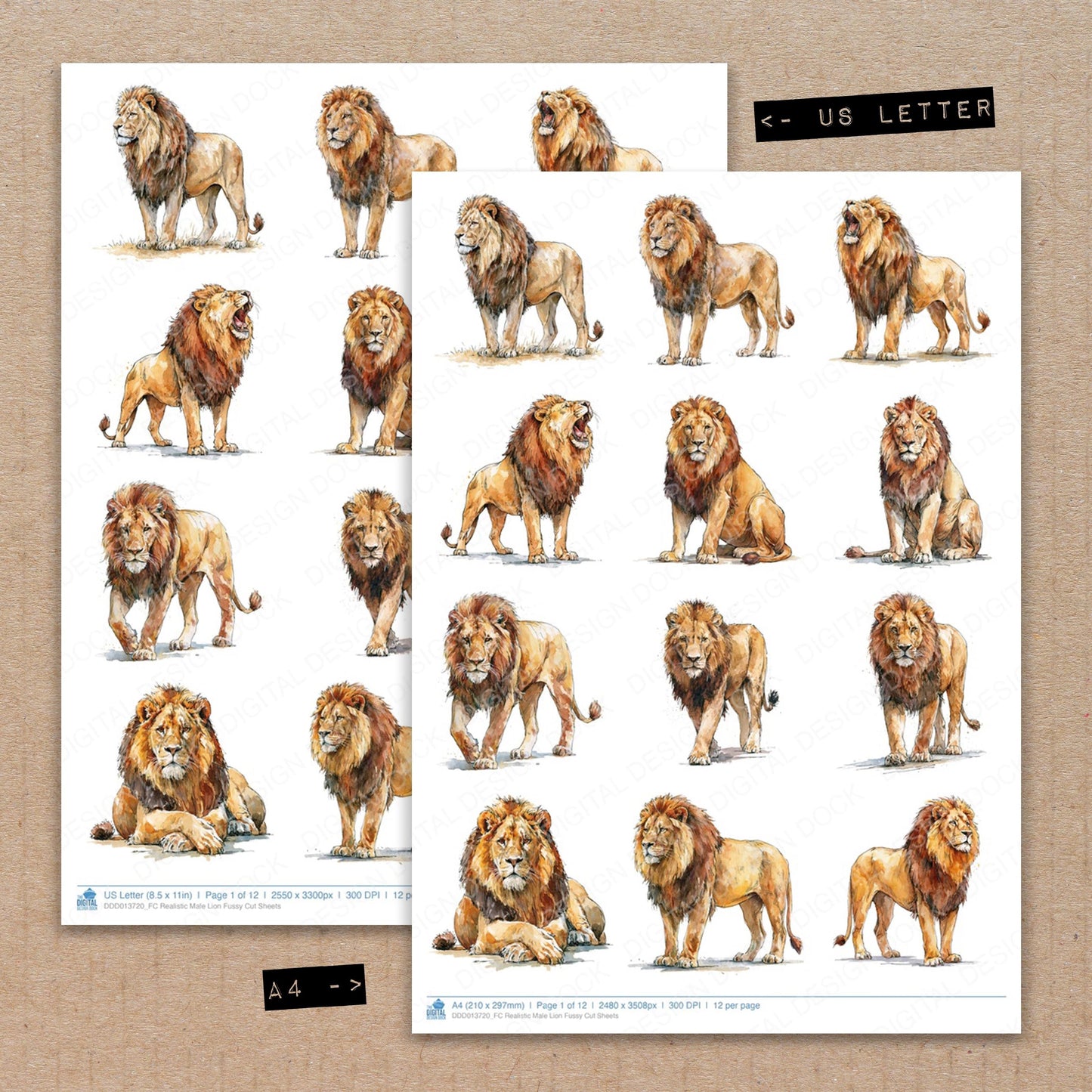 Realistic Male Lion Fussy Cut Sheets (DDD013720)
