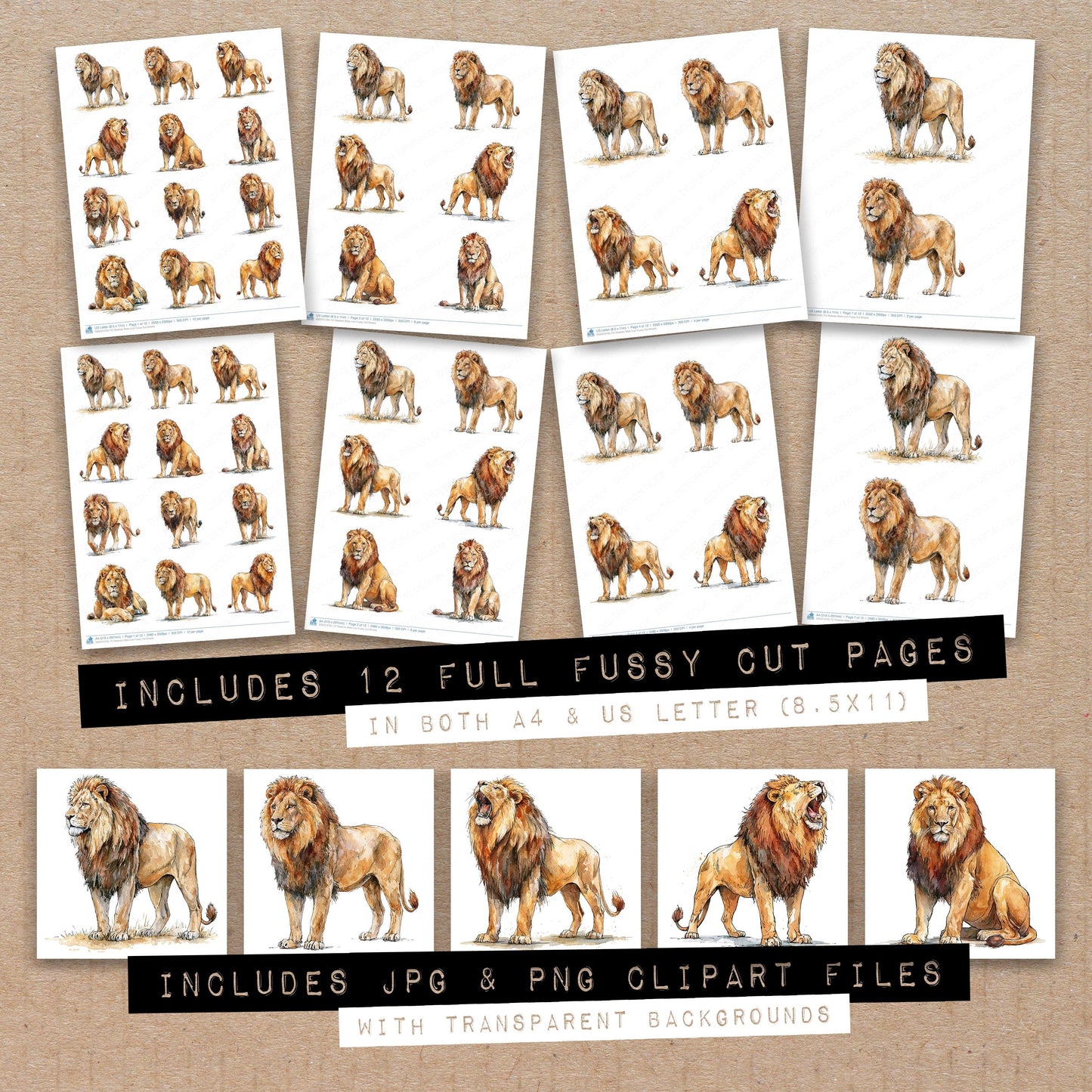Realistic Male Lion Fussy Cut Sheets (DDD013720)