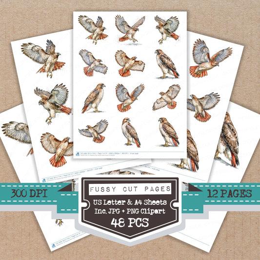 Realistic Red Tailed Hawk Fussy Cut Sheets (DDD013722)