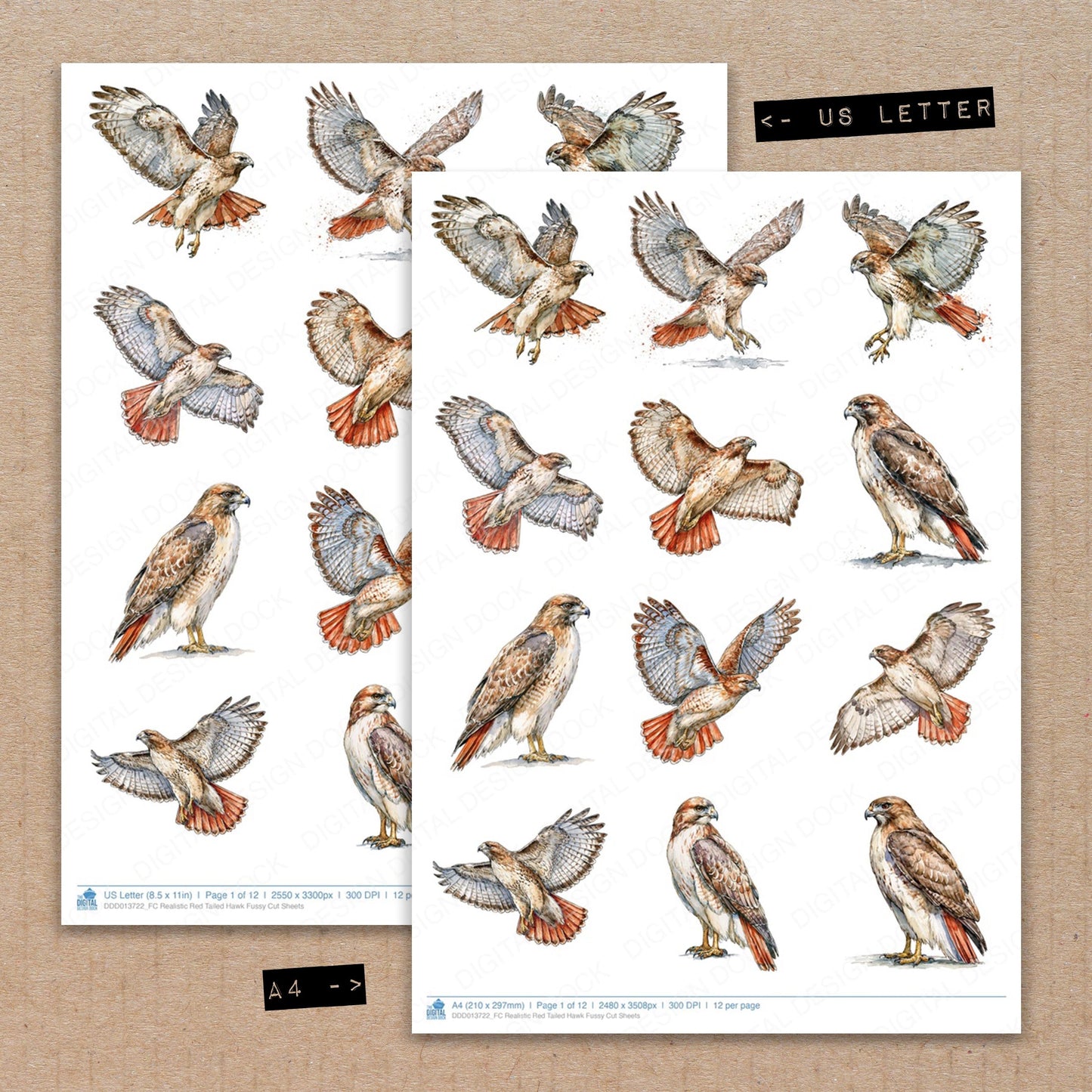 Realistic Red Tailed Hawk Fussy Cut Sheets (DDD013722)