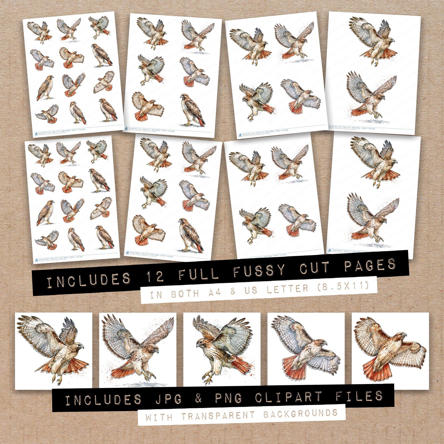 Realistic Red Tailed Hawk Fussy Cut Sheets (DDD013722)
