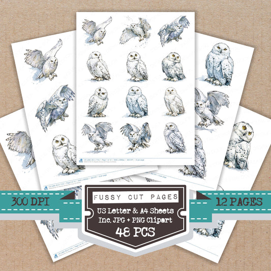 Realistic Snowy Owl Fussy Cut Sheets (DDD013723)