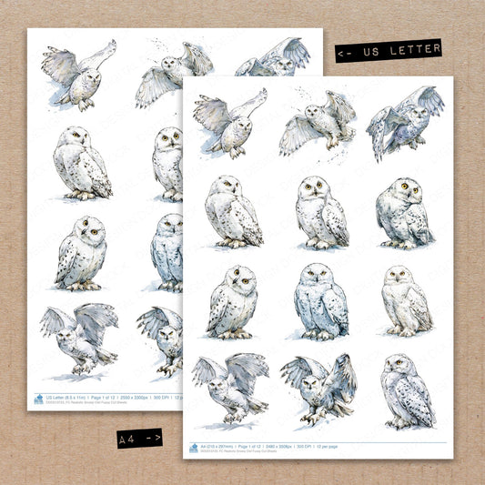 Realistic Snowy Owl Fussy Cut Sheets (DDD013723)