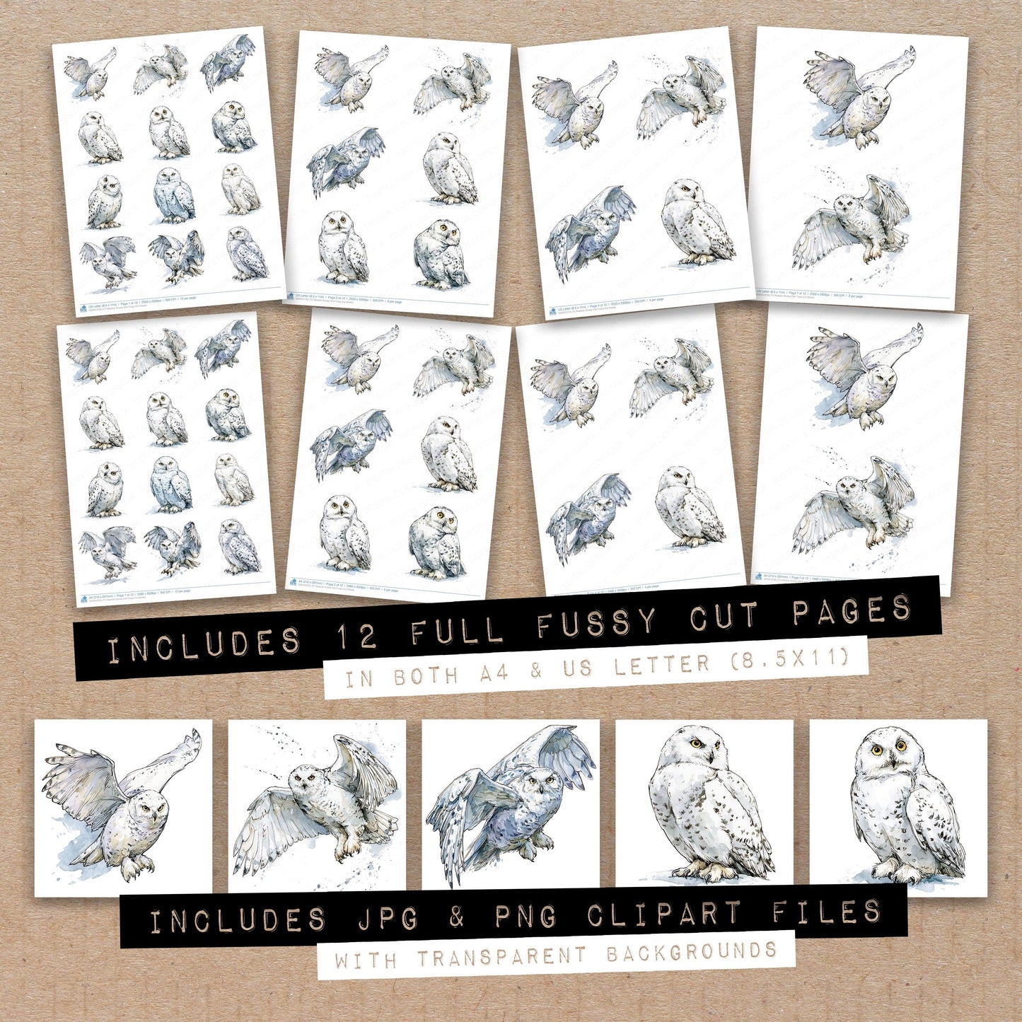 Realistic Snowy Owl Fussy Cut Sheets (DDD013723)