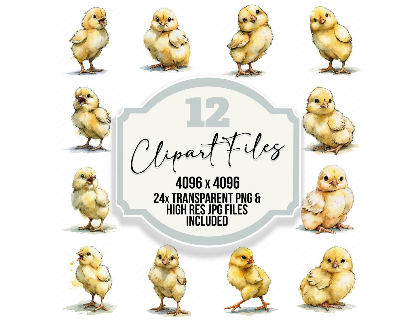 Realistic Baby Chick Clipart Set (DDD013728)