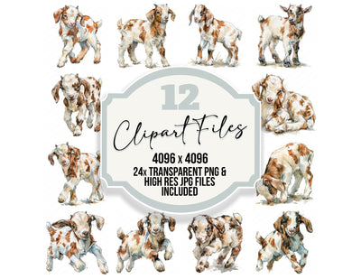 Realistic Baby Goat Kid Clipart Set (DDD013729)