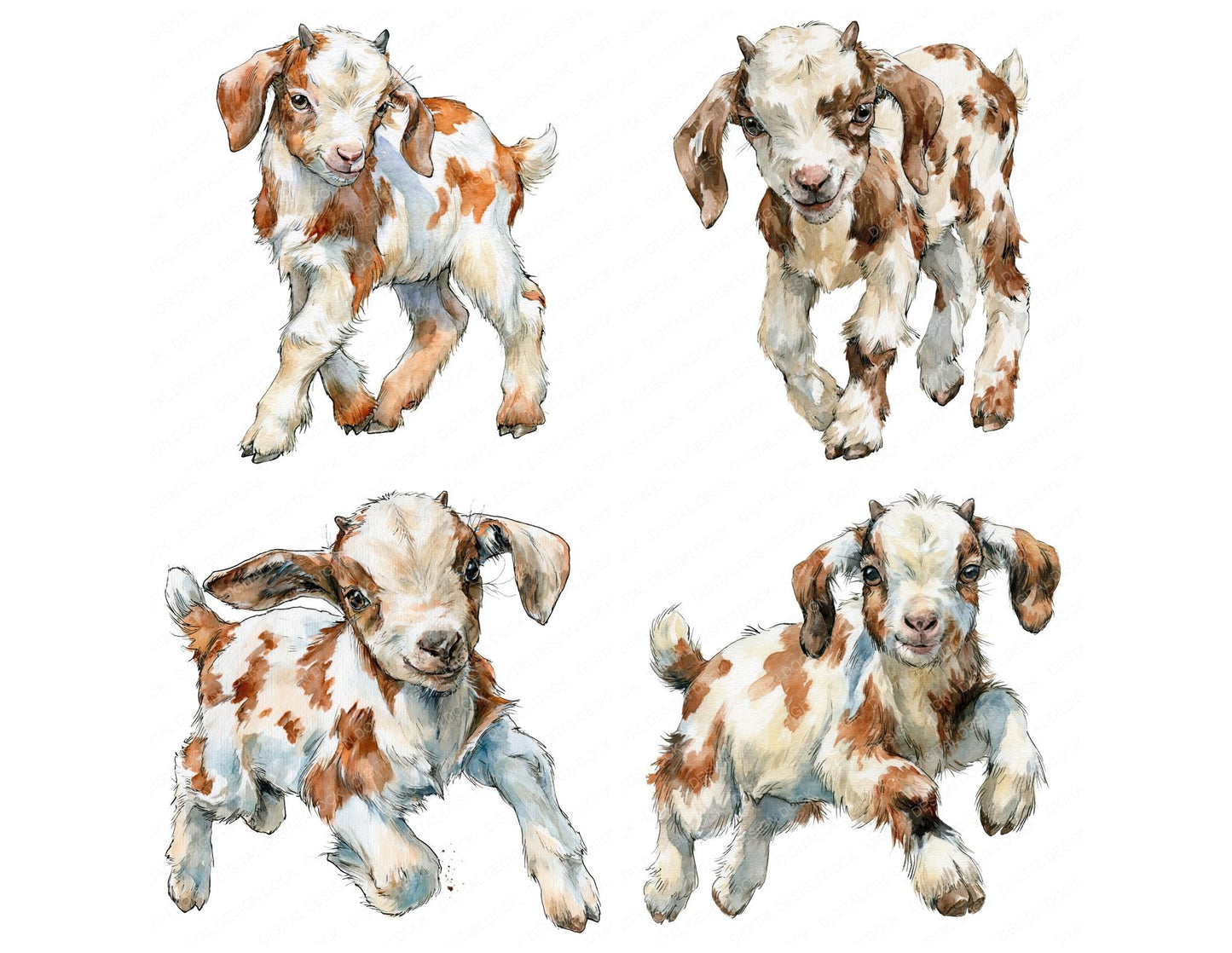 Realistic Baby Goat Kid Clipart Set (DDD013729)