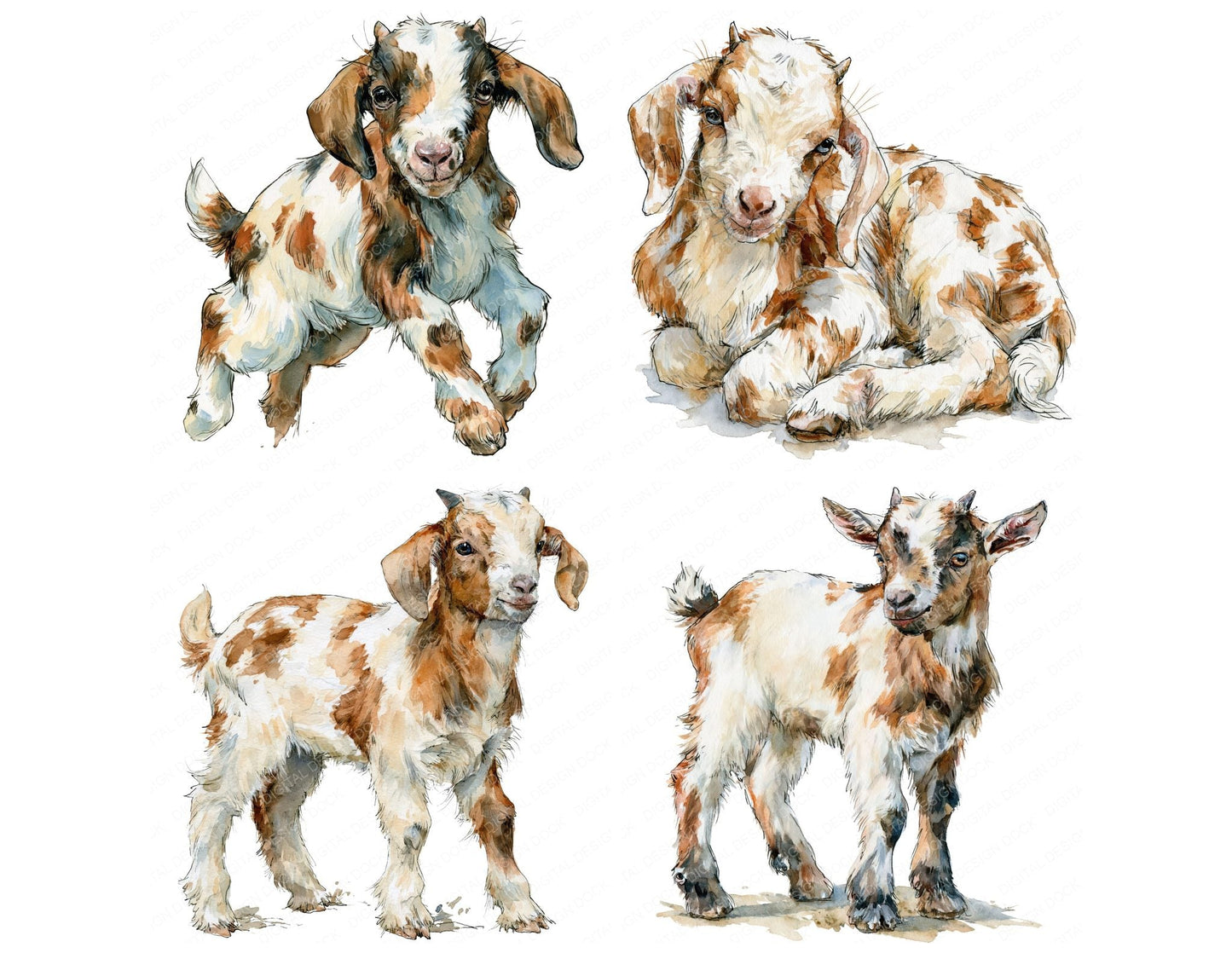 Realistic Baby Goat Kid Clipart Set (DDD013729)