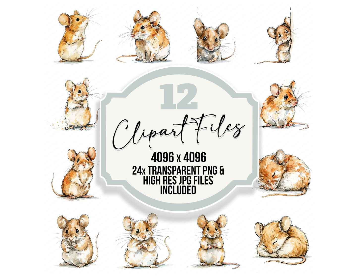 Realistic Baby Mouse Clipart Set (DDD013731)