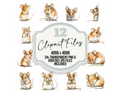 Realistic Baby Mouse Clipart Set (DDD013731)
