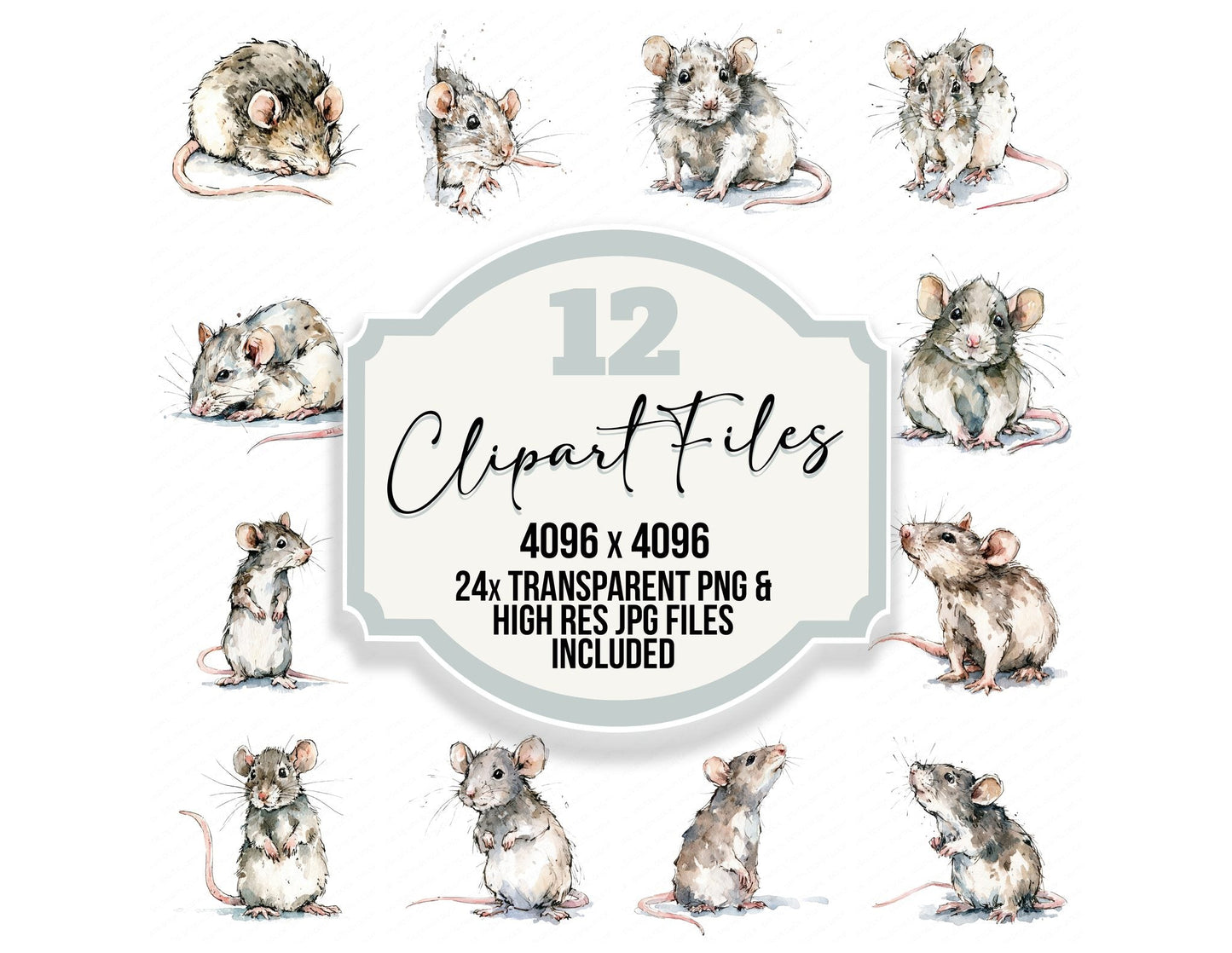 Realistic Baby Rat Clipart Set (DDD013734)