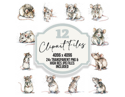 Realistic Baby Rat Clipart Set (DDD013734)