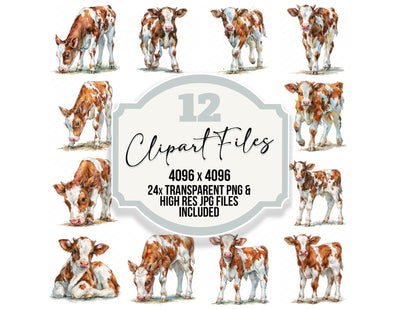 Realistic Calf Clipart Set (DDD013735)
