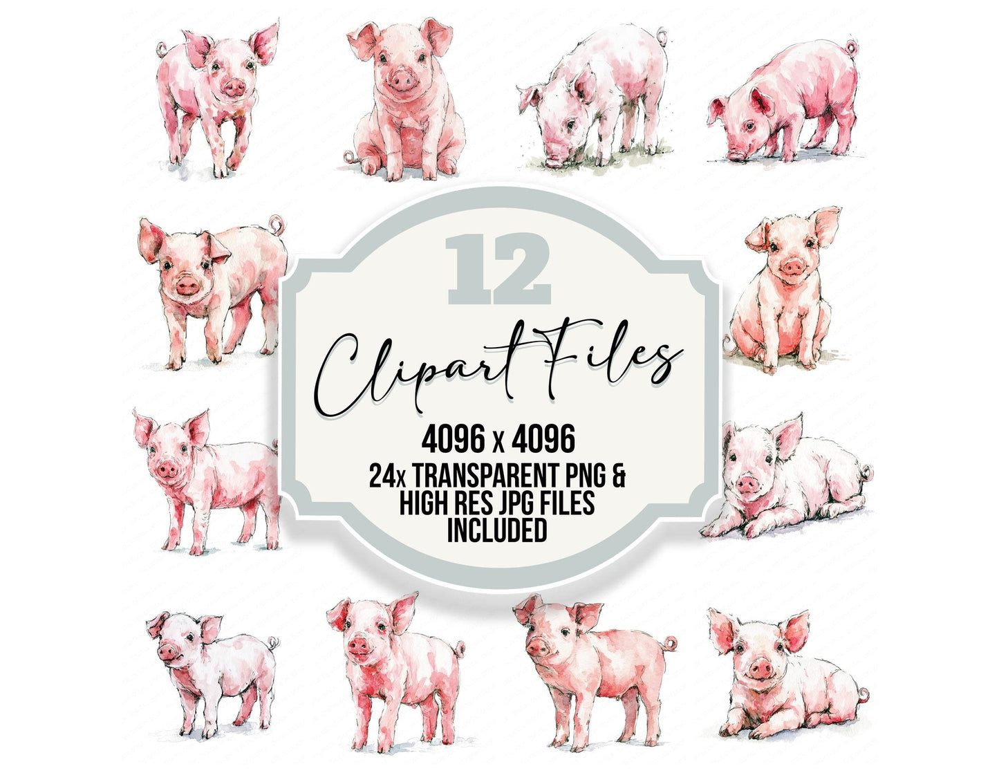 Realistic Piglet Clipart Set (DDD013736)