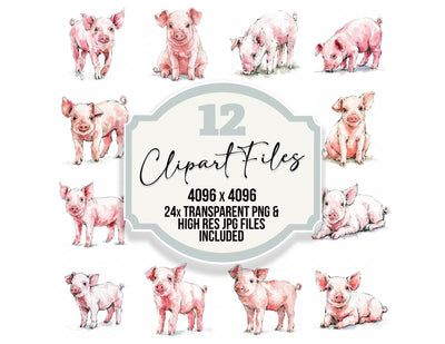 Realistic Piglet Clipart Set (DDD013736)