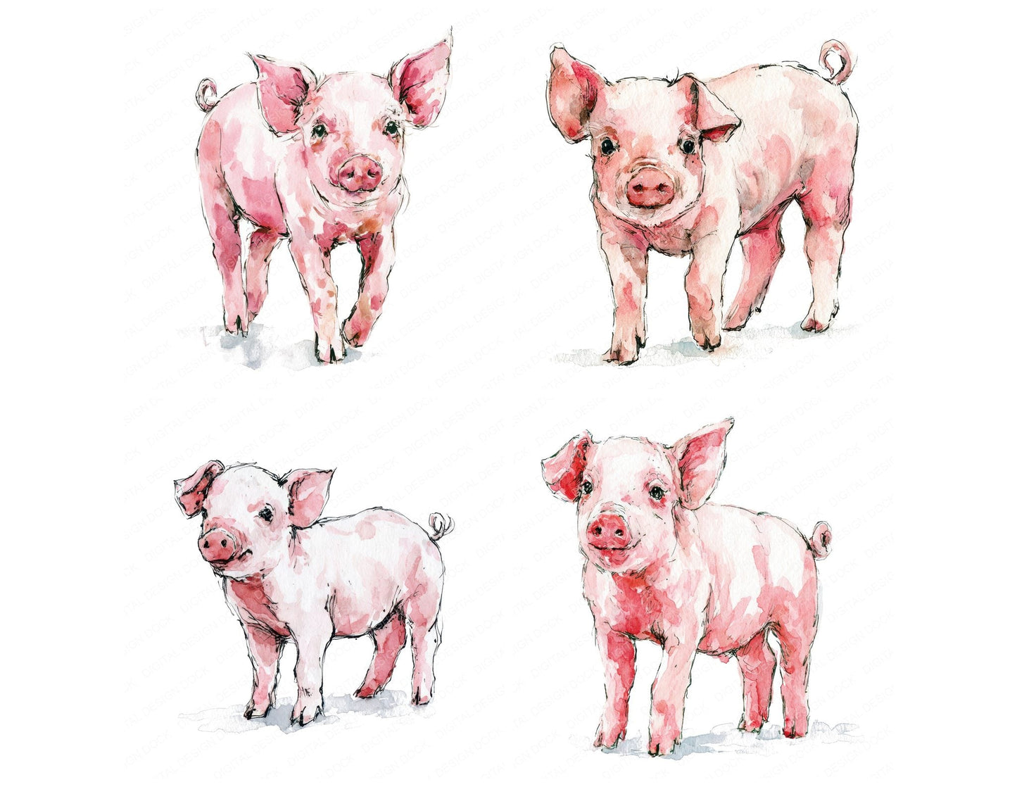 Realistic Piglet Clipart Set (DDD013736)