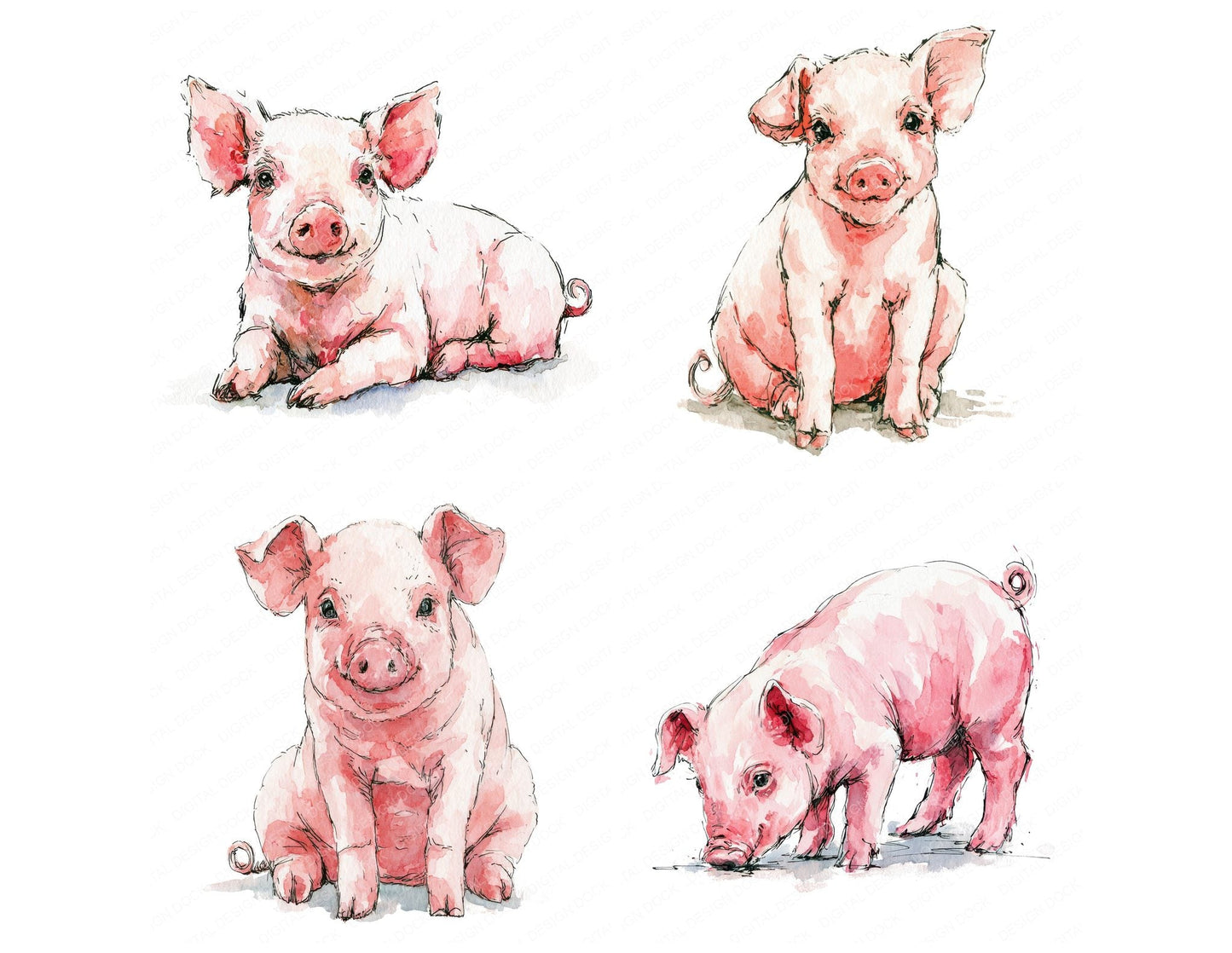 Realistic Piglet Clipart Set (DDD013736)