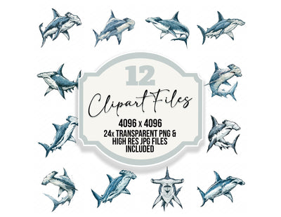 Stylised Hammerhead Shark Clipart Set (DDD013741)