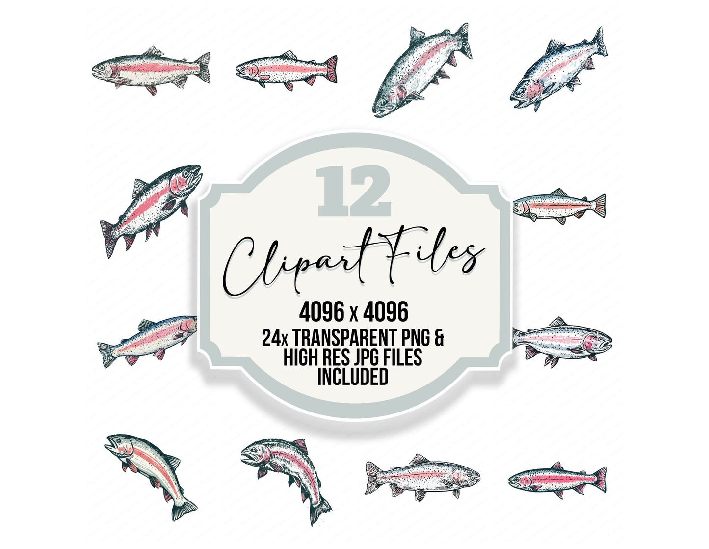 Stylised Rainbow Trout Clipart Set (DDD013744)