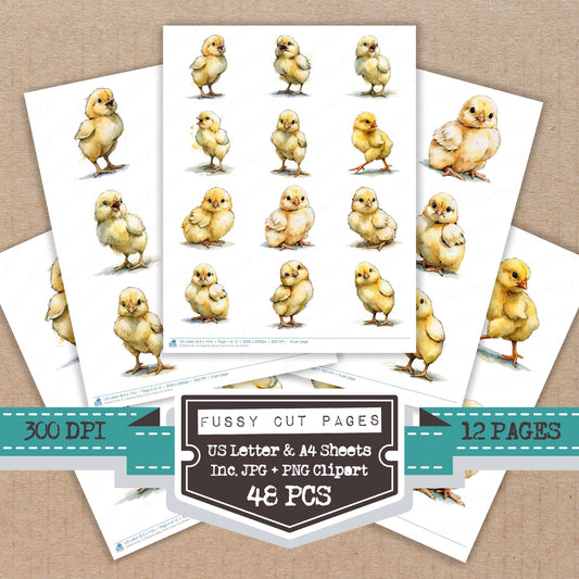 Realistic Baby Chick Fussy Cut Sheets (DDD013748)