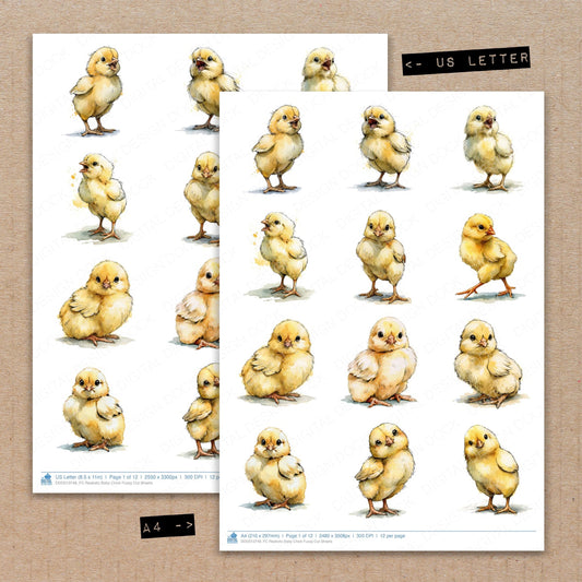 Realistic Baby Chick Fussy Cut Sheets (DDD013748)