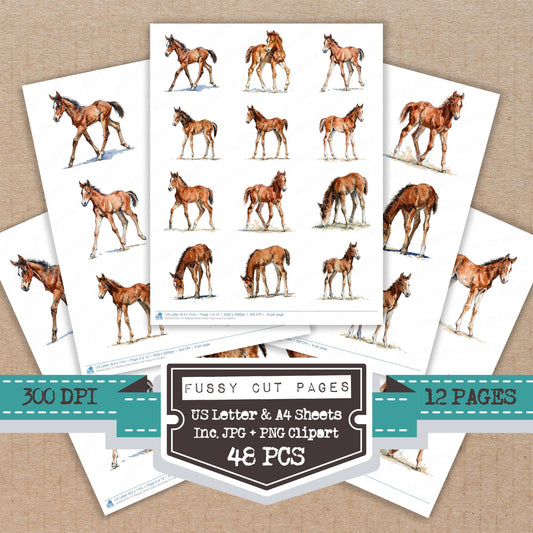 Realistic Baby Horse Foal Fussy Cut Sheets (DDD013750)