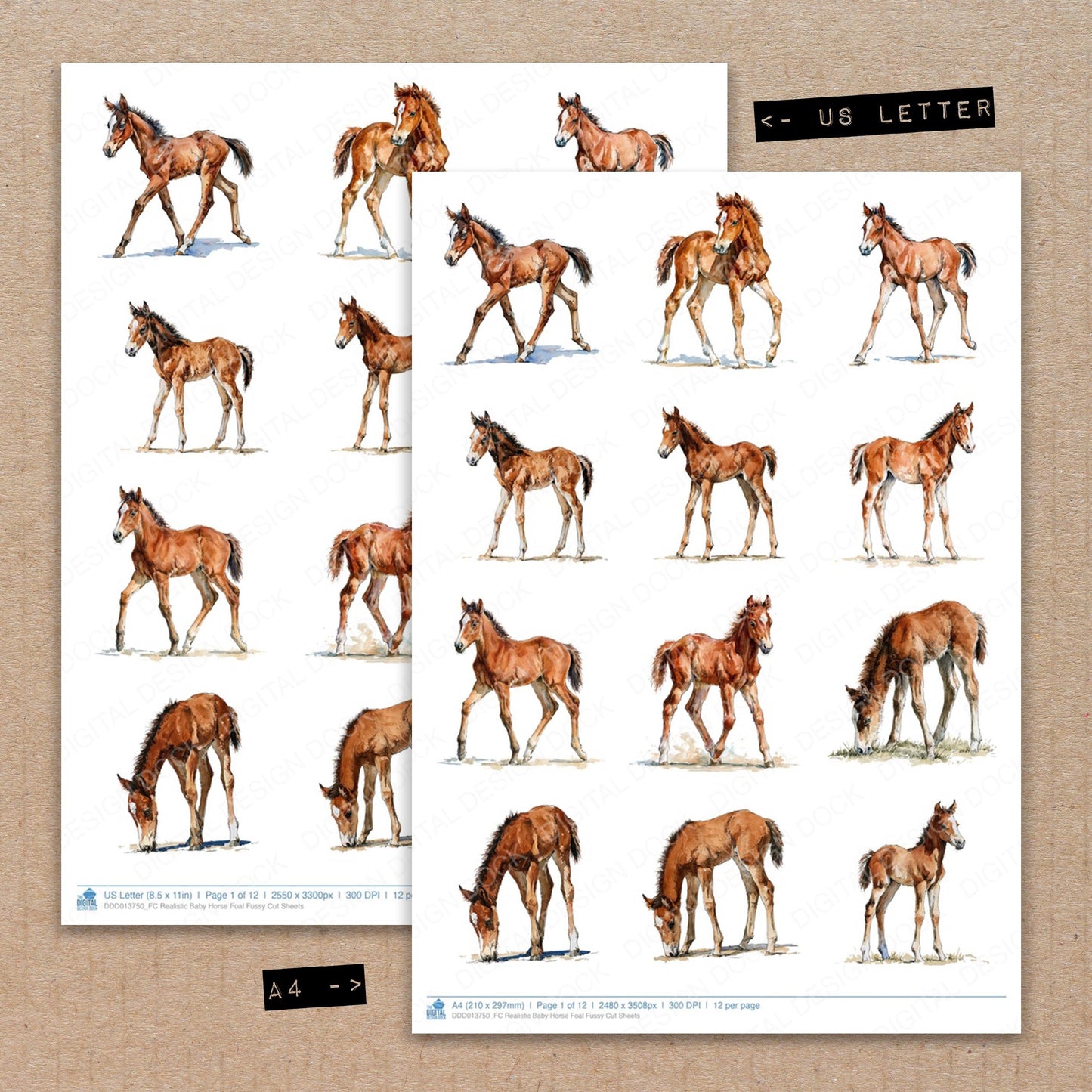 Realistic Baby Horse Foal Fussy Cut Sheets (DDD013750)
