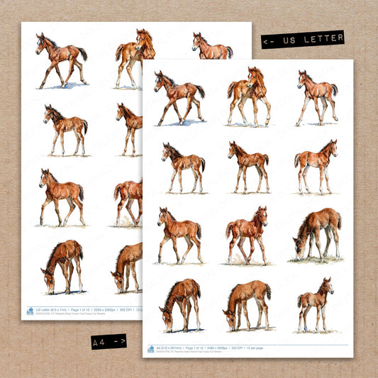 Realistic Baby Horse Foal Fussy Cut Sheets (DDD013750)