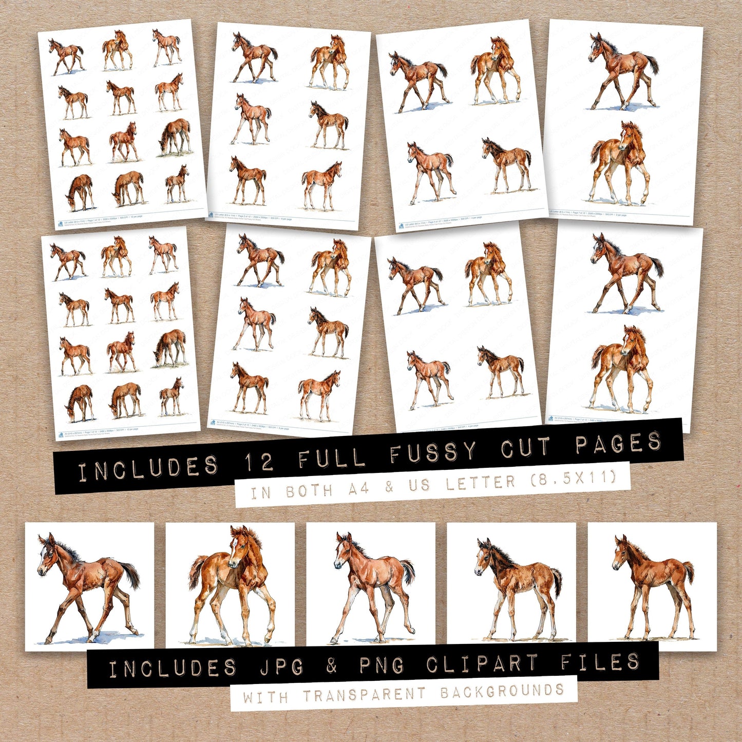 Realistic Baby Horse Foal Fussy Cut Sheets (DDD013750)