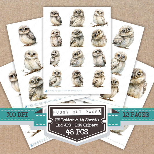 Realistic Baby Owlet Fussy Cut Sheets (DDD013752)