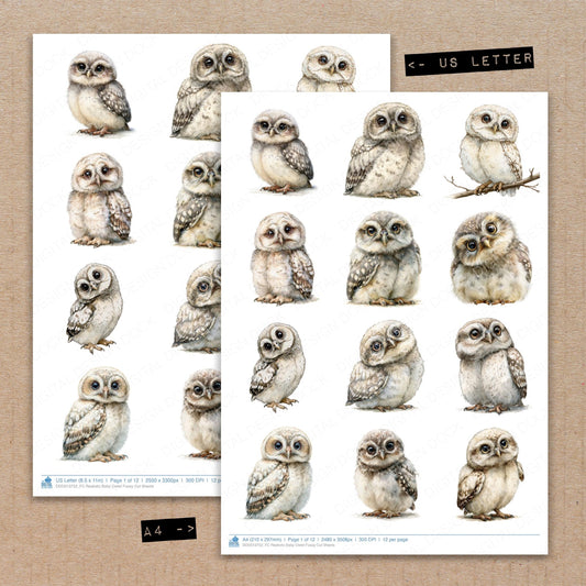 Realistic Baby Owlet Fussy Cut Sheets (DDD013752)