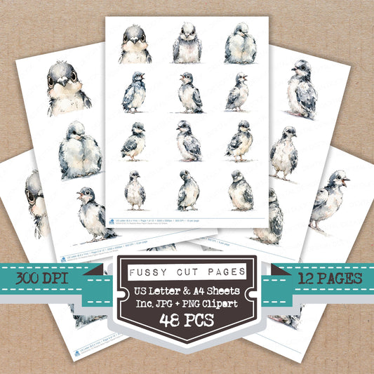 Realistic Baby Pigeon Squab Fussy Cut Sheets (DDD013753)