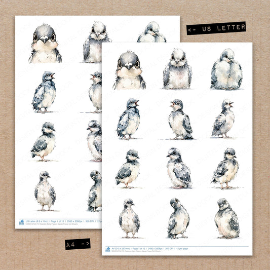 Realistic Baby Pigeon Squab Fussy Cut Sheets (DDD013753)