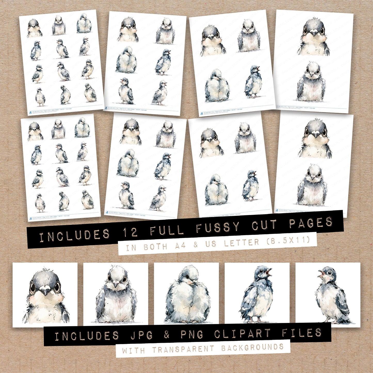 Realistic Baby Pigeon Squab Fussy Cut Sheets (DDD013753)