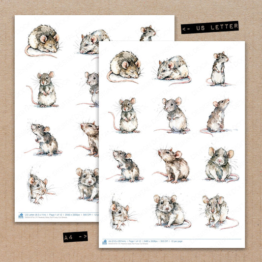 Realistic Baby Rat Fussy Cut Sheets (DDD013754)