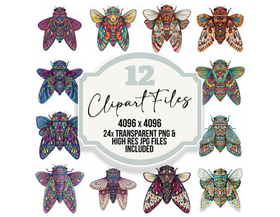 Folk Art Cicada Clipart Set (DDD013830)
