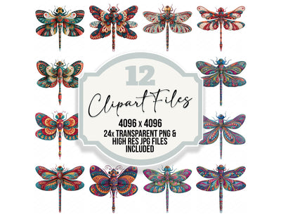 Folk Art Dragonfly Clipart Set (DDD013831)