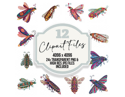 Folk Art Firefly Clipart Set (DDD013832)